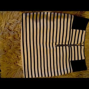 Charlotte Russe Spandex Skirt